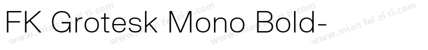 FK Grotesk Mono Bold字体转换